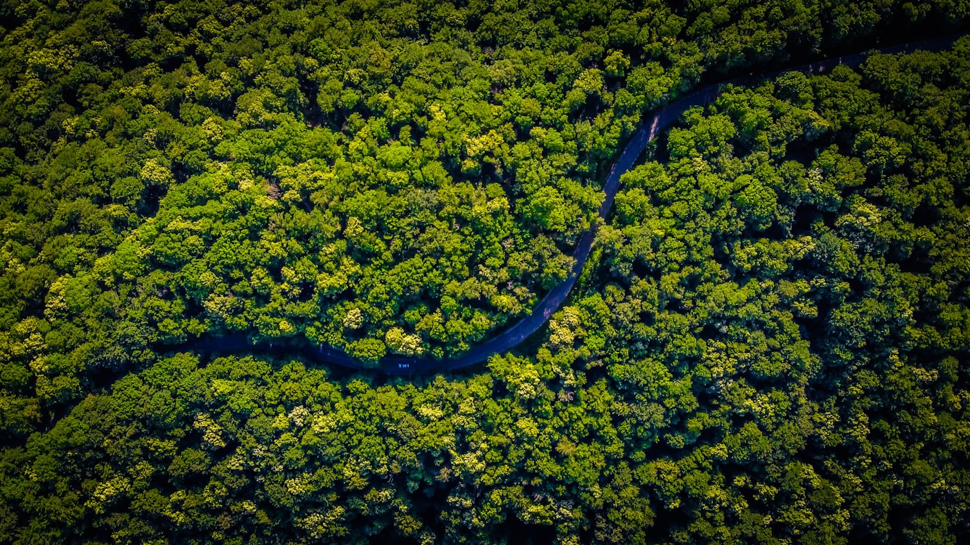 Aerial view of a forest and winding river